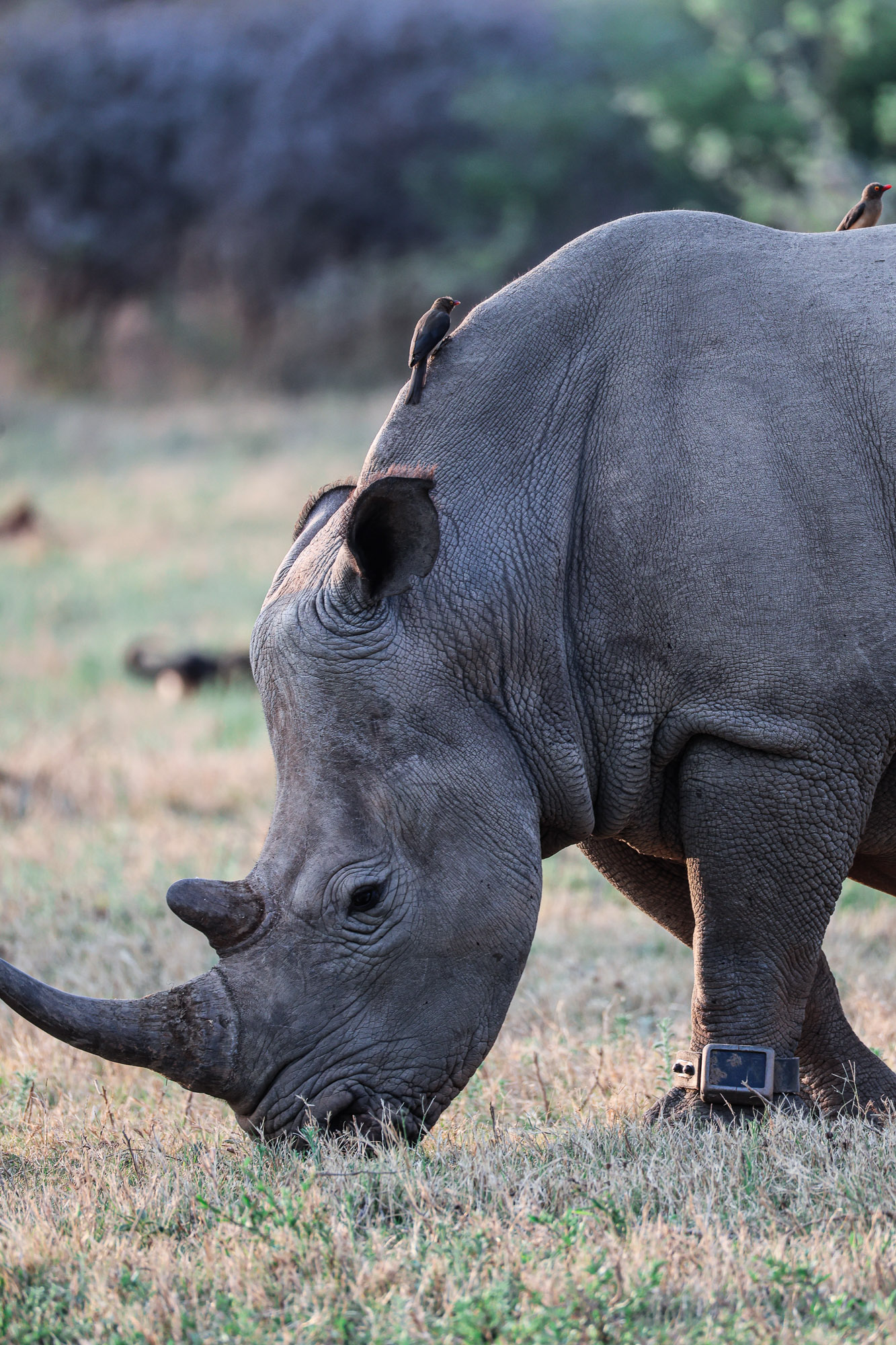 South Africa — Travel Photography